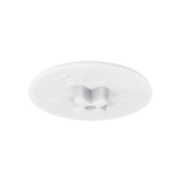 Hafele Minifix Kapak 15mm, Beyaz Renk (500 Adet)